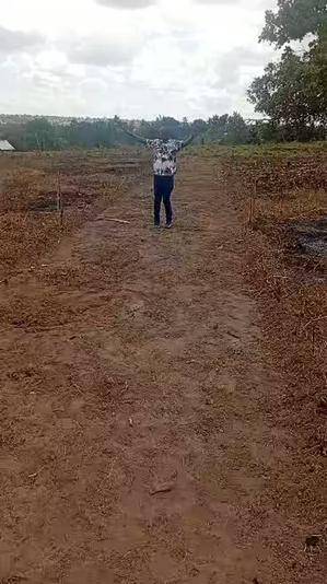 Kiwanja kinauzwa Yombo Yamwanadilatu, Pwani Kiwanja kinauzwa Yombo Yamwanadilatu, Pwani