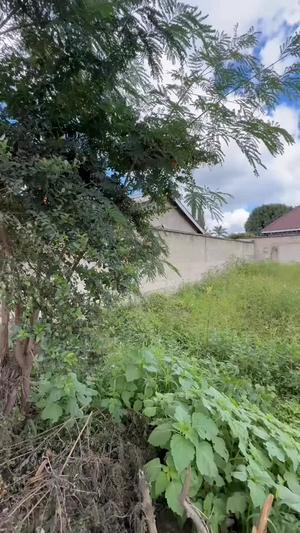 Kiwanja kinauzwa Ngaramtoni Ya Chini, Arusha (900 sqm) Kiwanja kinauzwa Ngaramtoni Ya Chini, Arusha (900 sqm)