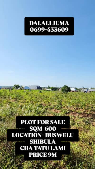 Kiwanja kinauzwa Shibula, Mwanza