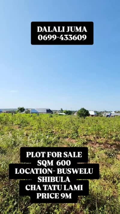 Kiwanja kinauzwa Shibula, Mwanza Kiwanja kinauzwa Shibula, Mwanza