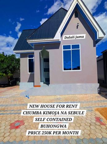 1 Bedroom House for Rent in Mwanza 1 Bedroom House for Rent in Mwanza