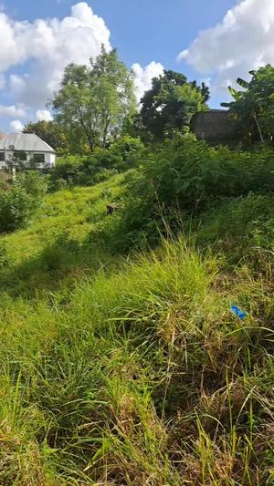 Residential Plot for Sale in Mbezi Kwa Msuguri, Dar Es Salaam (225 sqm) Residential Plot for Sale in Mbezi Kwa Msuguri, Dar Es Salaam (225 sqm)