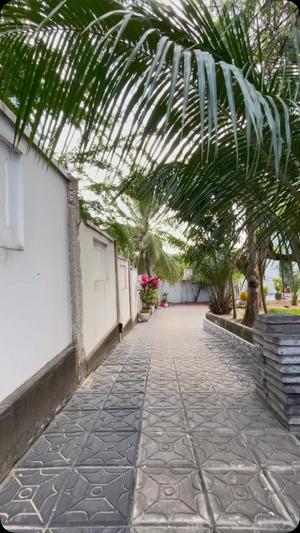 Nyumba ya vyumba vitatu inapangishwa Goba Njia Makongo Juu, Dar Es Salaam Nyumba ya vyumba vitatu inapangishwa Goba Njia Makongo Juu, Dar Es Salaam