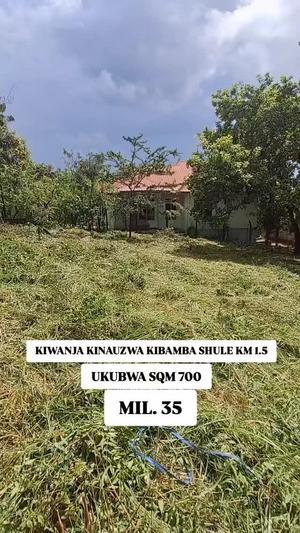 Kiwanja kinauzwa Kibamba Shule, Dar Es Salaam (800 sqm)