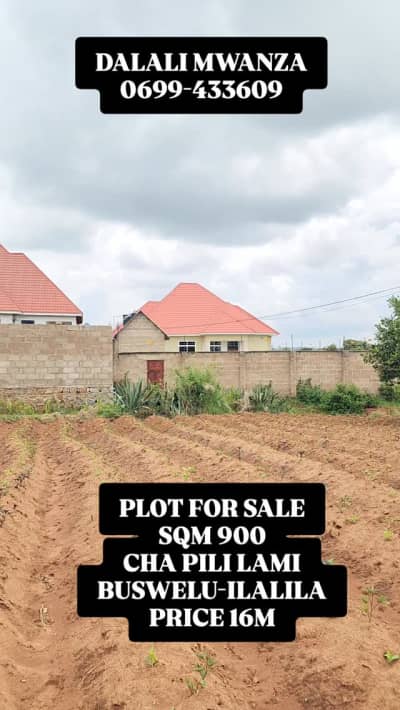 Kiwanja kinauzwa Buswelu, Mwanza