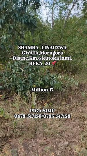 Farm for Sale in Gwata, Morogoro (20 acre) Farm for Sale in Gwata, Morogoro (20 acre)
