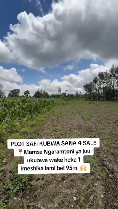 Kiwanja kinauzwa Mamsa Ngaramtoni ya Juu, Arusha (1 acre)