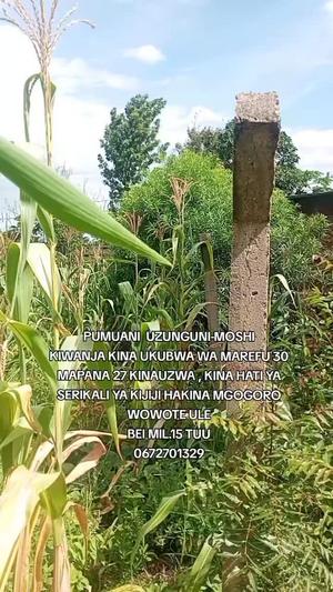 Kiwanja kinauzwa Uzunguni Pumuani, Moshi, Kilimanjaro sqm 810 Kiwanja kinauzwa Uzunguni Pumuani, Moshi, Kilimanjaro sqm 810