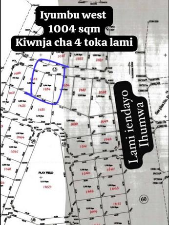 Kiwanja kinauzwa Iyumbu West, Dodoma Town sqm 1004