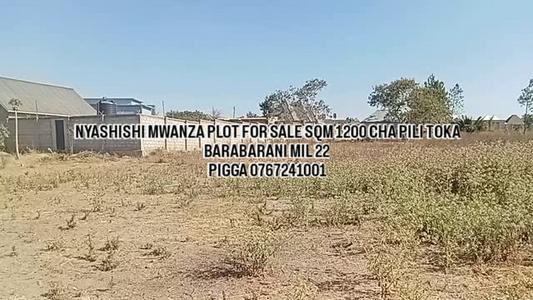 Kiwanja kinauzwa Nyashishi, Mwanza (1200 sqm) Kiwanja kinauzwa Nyashishi, Mwanza (1200 sqm)