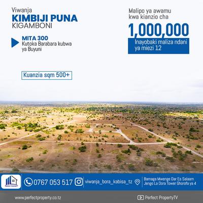 Viwanja vinauzwa Kimbiji Puna, Dar Es Salaam sqm 500