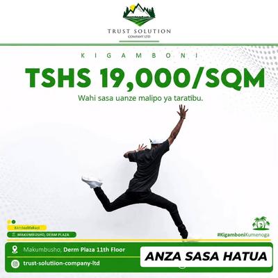 Viwanja vinauzwa Buyuni (Mti Mweupe), Kigamboni, Dar Es Salaam Viwanja vinauzwa Buyuni (Mti Mweupe), Kigamboni, Dar Es Salaam