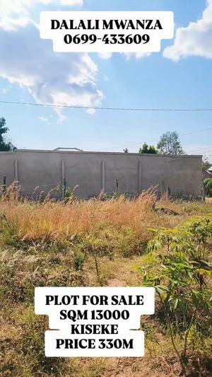 Kiwanja kinauzwa Kiseke, Mwanza (13000 sqm) Kiwanja kinauzwa Kiseke, Mwanza (13000 sqm)