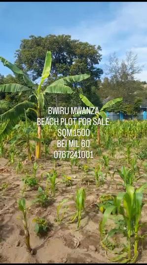 Kiwanja kinauzwa Bwiru, Mwanza sqm 1500