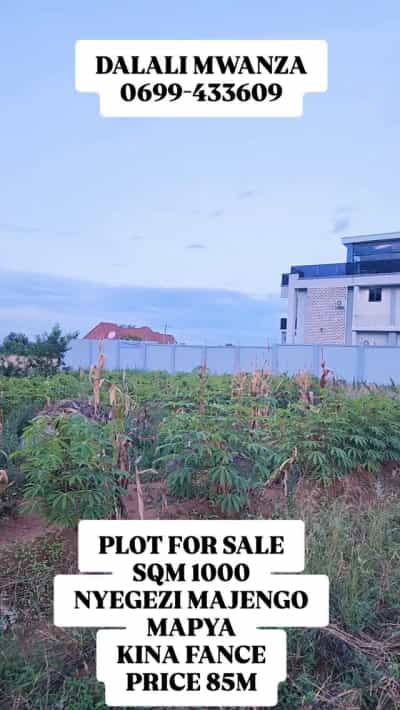 Kiwanja kinauzwa Nyegezi Majengo Mapya, Mwanza (1000 sqm)