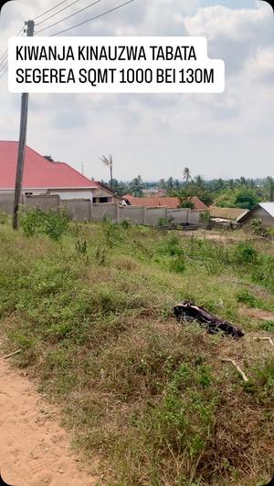 Residential Plot for Sale in Tabata Segerea Mwisho, Dar Es Salaam (1000 sqm) Residential Plot for Sale in Tabata Segerea Mwisho, Dar Es Salaam (1000 sqm)