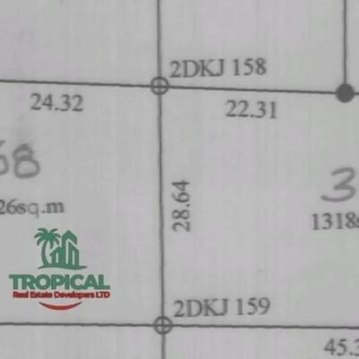 Viwanja vinauzwa Ntyuka - Chidachi, Dodoma (1318 sqm)