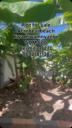 Kiwanja kinauzwa Mbezi Beach, Dar Es Salaam (600 sqm) Kiwanja kinauzwa Mbezi Beach, Dar Es Salaam (600 sqm)
