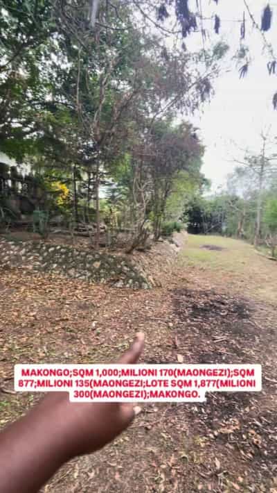 Kiwanja kinauzwa Makongo Juu, Dar Es Salaam (1000 sqm) Kiwanja kinauzwa Makongo Juu, Dar Es Salaam (1000 sqm)