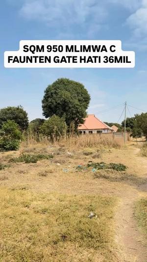 Kiwanja kinauzwa Mlimwa C, Dodoma (950 sqm) Kiwanja kinauzwa Mlimwa C, Dodoma (950 sqm)