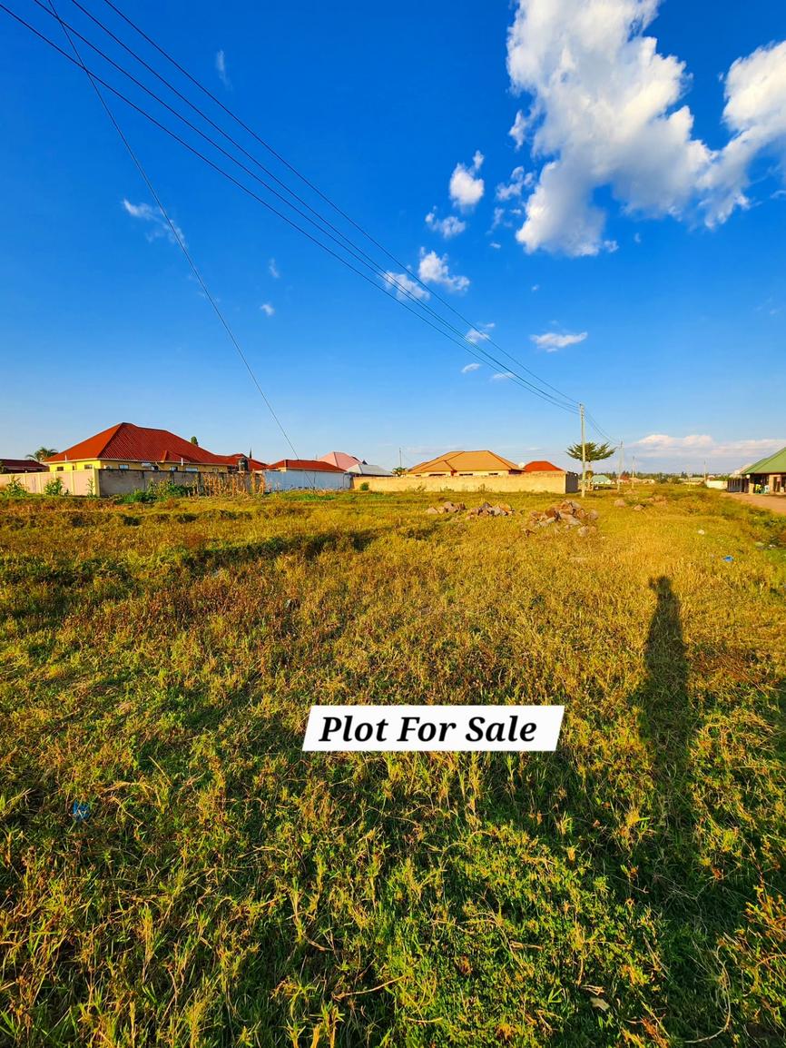 media -2 media -2