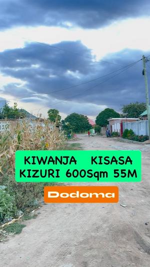 Kiwanja kinauzwa Kisasa, Dodoma sqm 600