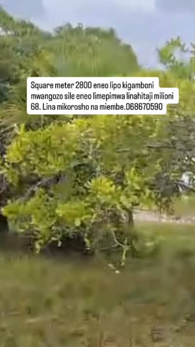 Kiwanja kinauzwa Kigamboni, Dar Es Salaam