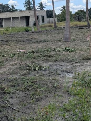 Viwanja vinauzwa Chanika Zingiziwa, Dar Es Salaam sqm 45 Viwanja vinauzwa Chanika Zingiziwa, Dar Es Salaam sqm 45