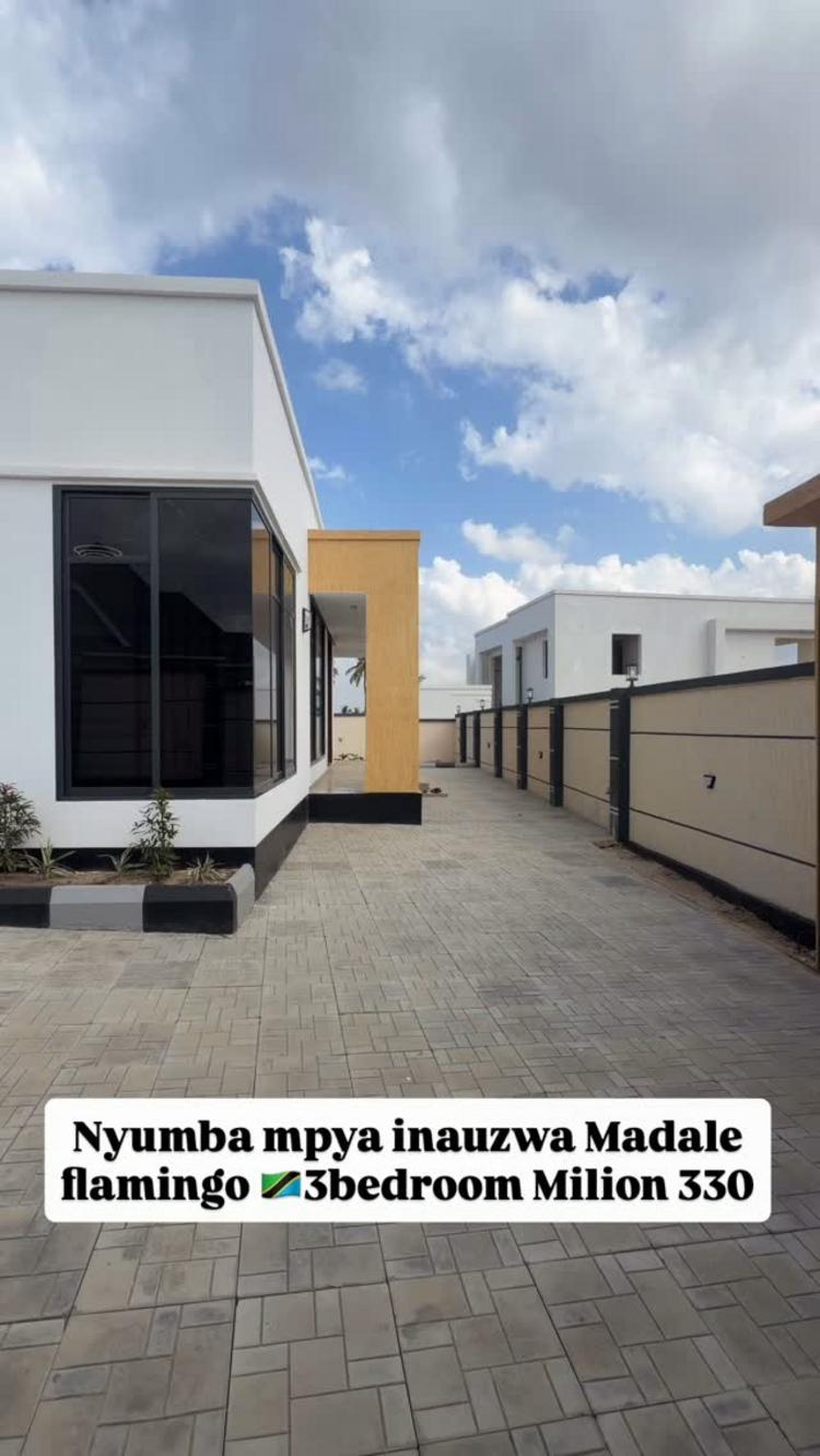 media -1 media -1