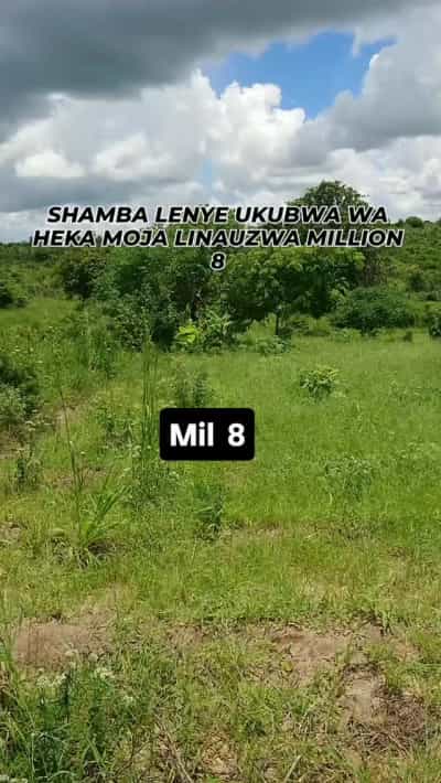 Farm for Sale in Kibaha Kongowe Vikuge, Pwani
