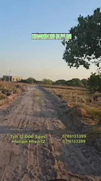 Kiwanja kinauzwa Kigamboni Buyuni, Dar Es Salaam (592 sqm) Kiwanja kinauzwa Kigamboni Buyuni, Dar Es Salaam (592 sqm)