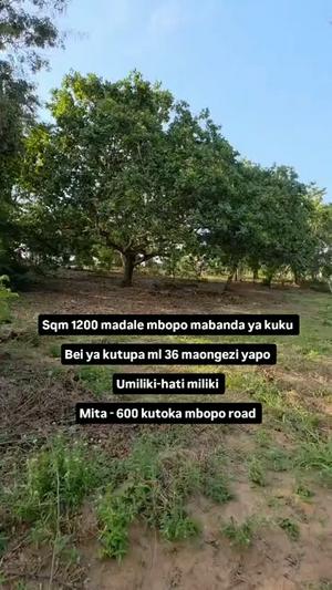Plot for sale in Madale Mbopo, Dar Es Salaam sqm 1200