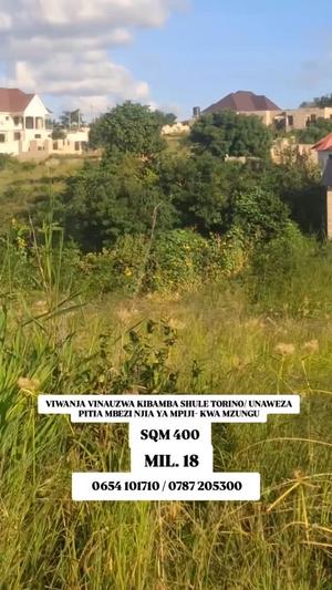 Kiwanja kinauzwa Kibamba Shule Torino, Dar Es Salaam (400 sqm)