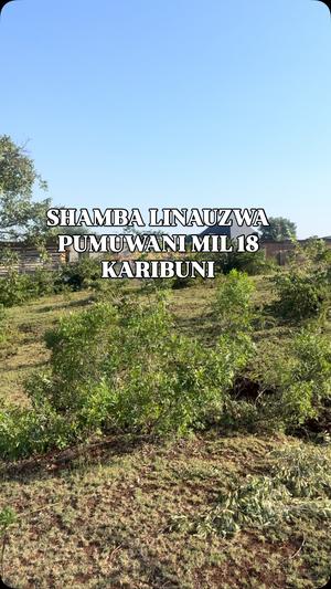 Shamba linauzwa Pumuwani, Kilimanjaro (1.25 acre) Shamba linauzwa Pumuwani, Kilimanjaro (1.25 acre)