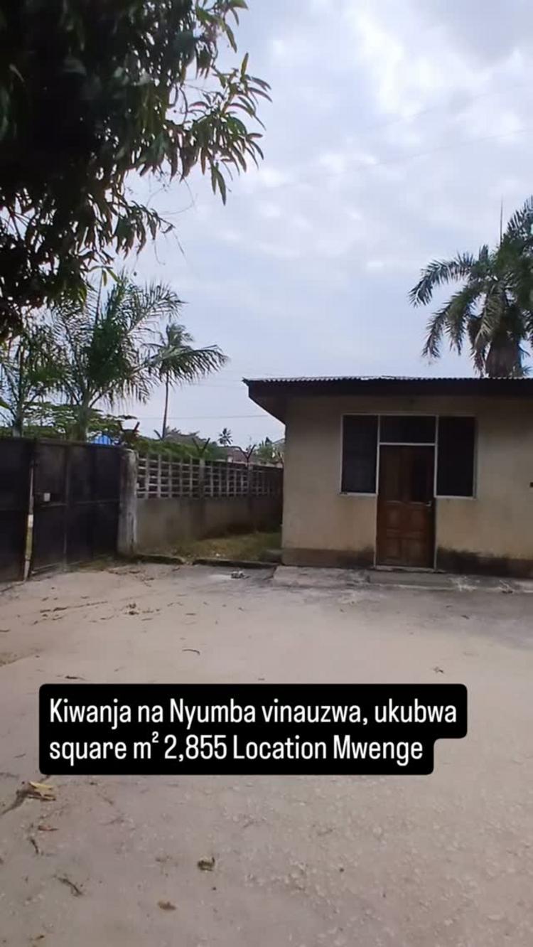 media -1 media -1