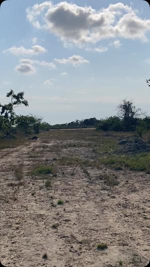 Residential Plot for Sale in Kigamboni Chekeni Mwasonga, Dar Es Salaam (15 acre) Residential Plot for Sale in Kigamboni Chekeni Mwasonga, Dar Es Salaam (15 acre)