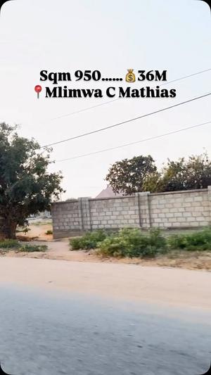 Kiwanja kinauzwa Mlimwa C Mathias, Dodoma (950 sqm) Kiwanja kinauzwa Mlimwa C Mathias, Dodoma (950 sqm)