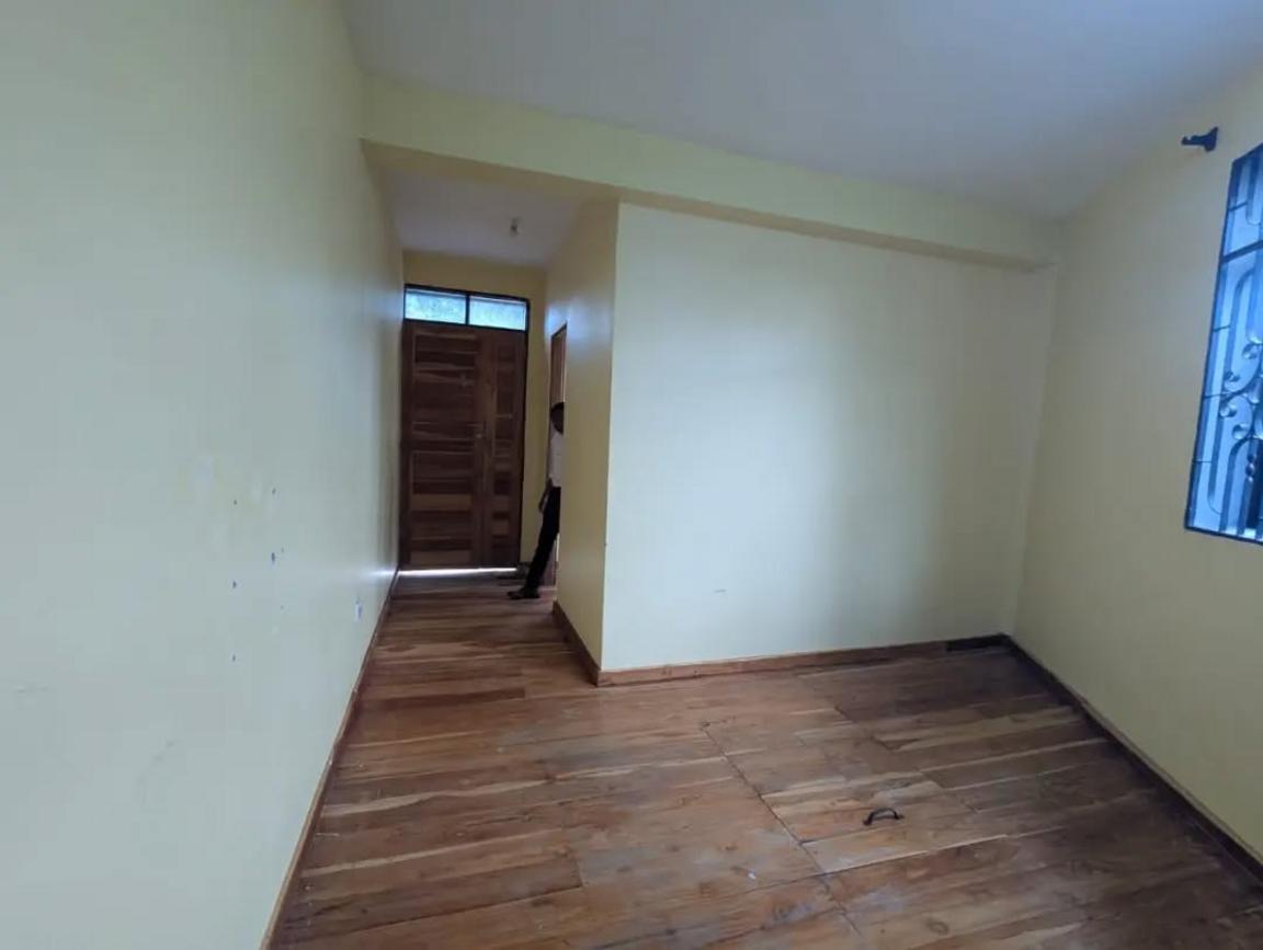 media -4 media -4