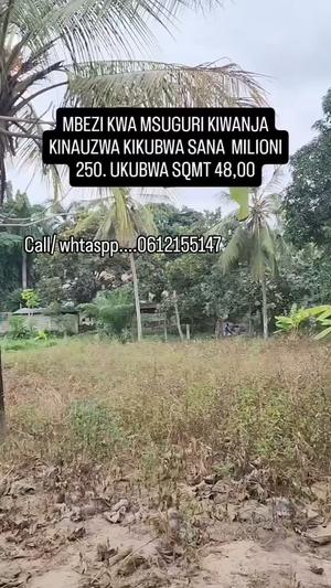 Kiwanja kinauzwa Mbezi kwa Msuguri, Dar Es Salaam (4800 sqm) Kiwanja kinauzwa Mbezi kwa Msuguri, Dar Es Salaam (4800 sqm)