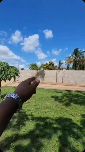 Plot for sale in Tabata, Dar Es Salaam sqm 1150 Plot for sale in Tabata, Dar Es Salaam sqm 1150