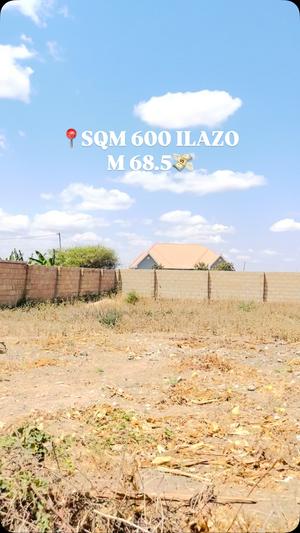 Residential Plot for Sale in Ilazo, Dodoma (600 sqm) Residential Plot for Sale in Ilazo, Dodoma (600 sqm)