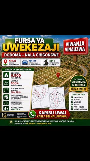 Viwanja vinauzwa Nala Chihoni, Dodoma (874 sqm)