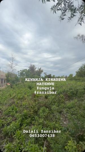 Kiwanja kinauzwa Matemwe, Zanzibar sqm 3100