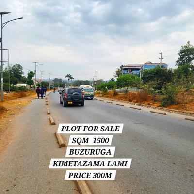 Kiwanja kinauzwa Buzuruga, Mwanza (1500 sqm) Kiwanja kinauzwa Buzuruga, Mwanza (1500 sqm)