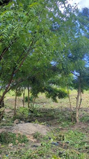 Residential Plot for Sale in Goba Kulangwa, Dar Es Salaam (500 sqm)