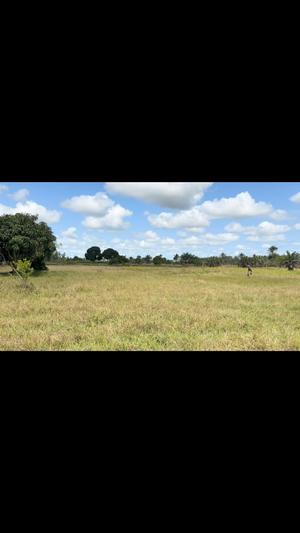 Shamba linauzwa Mwasonga, Dar Es Salaam (4.5 acre) Shamba linauzwa Mwasonga, Dar Es Salaam (4.5 acre)