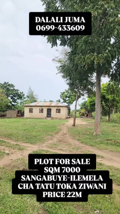 Plot for sale in Buswelu, Mwanza