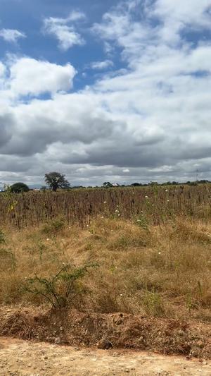 Viwanja vinauzwa Kitelela, Dodoma sqm 1000