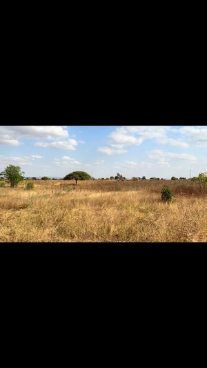 Residential Plot for Sale in Kitelela, Dodoma (899 sqm)