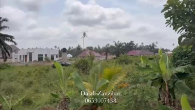Plots for sale in Kianga, Mtwara